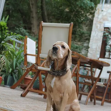 Apartament Apart Hotel Eden